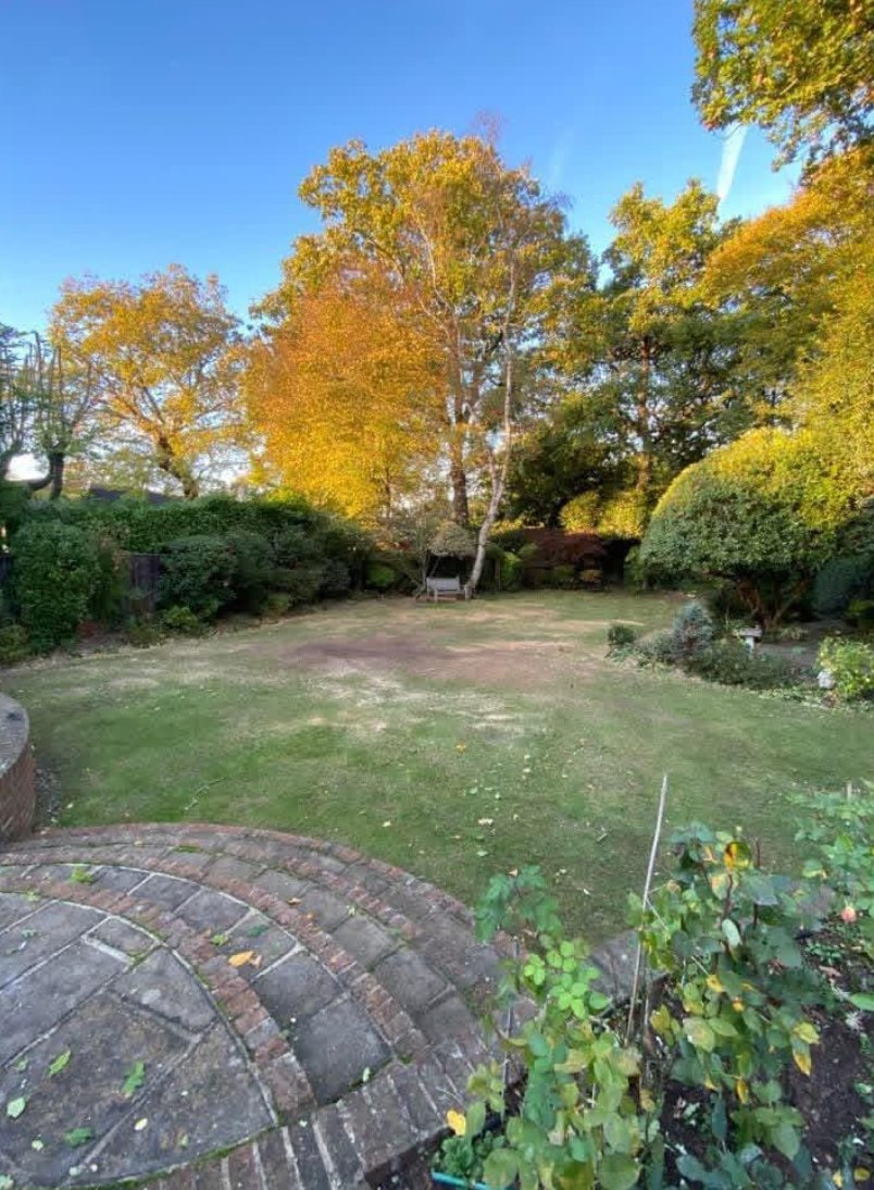 A garden in good order
