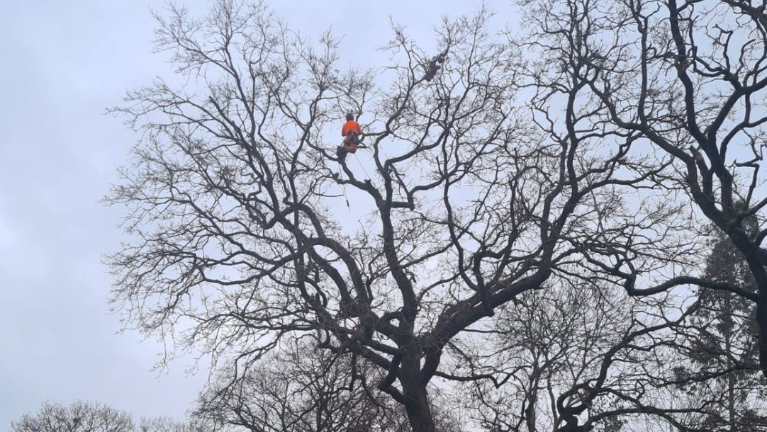 Crown reduction from the ropes
