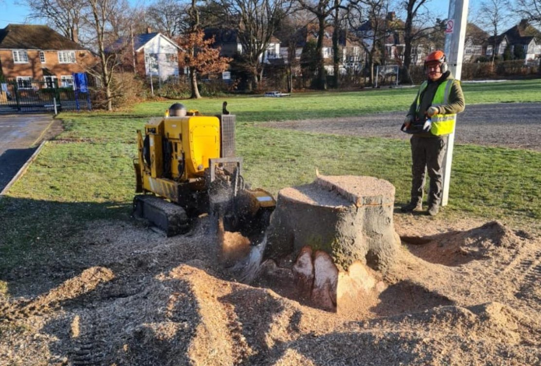 Stump grinding